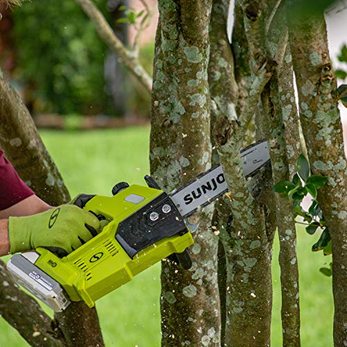 Sun Joe 24V-10Cs 24-Volt Ionmax 10-Inch Cordless Chain Saw, Kit (W/ 4.0-Ah Battery + Charger) #TOP5