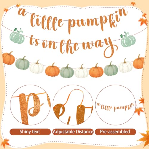 Image of Little Pumpkin Banner and Hanging Swirls Fall Baby Shower Decor