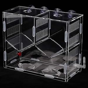 Isolatie Hatchery Fish Isolatie Box, Aquarium Incubator Box voor Aquarium Hatching Box Multifunctionele Fish Isolatie…