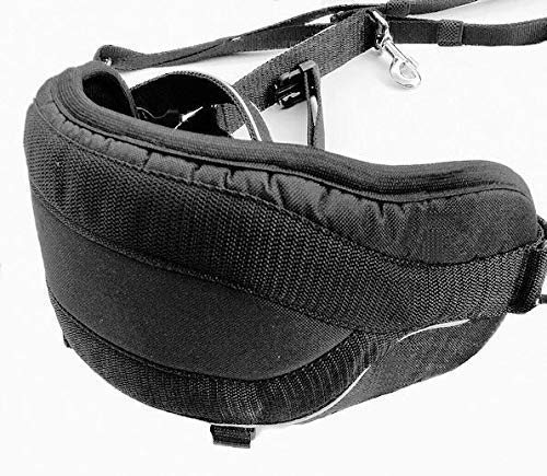 cat-or-dog.boutique Canicross Sport-Gürtel für Spaziergänge, Canicross, Bikejoring, Skifahren und Trekking, Einheitsgröße, Schwarz Cover