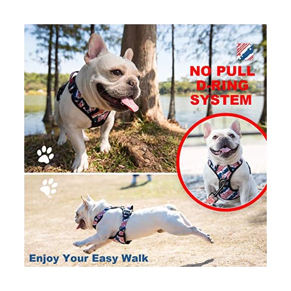 PoyPet-No-Pull-Dog-Harness-Release-at-Neck-Reflective-Adjustable-No-Choke-Pet-Vest-with-Front-Back-2-Leash-Attachments-Soft-Control-Training-Handle-for-Small-Medium-Large-Dogs Reflective No Pull Dog Harness