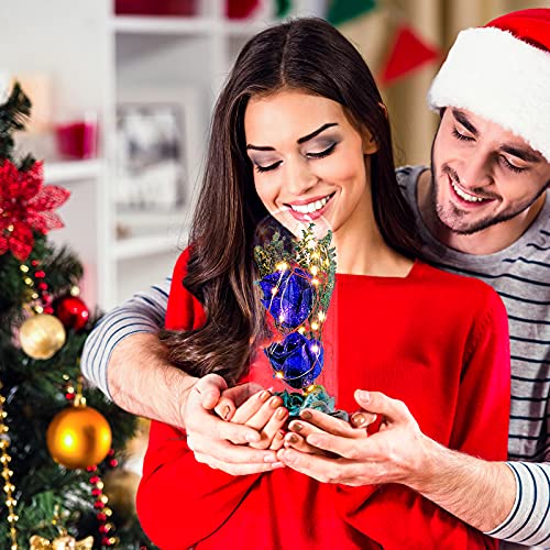 Ulif Beauty and the Beast rozen cadeaus voor vrouwen verjaardag, roos in glazen koepel voor mam, oma, vrouwen, Moederdag… - Image 6