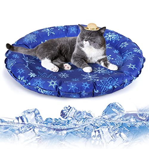 Kühlmatte Katze Günstig Online Kaufen