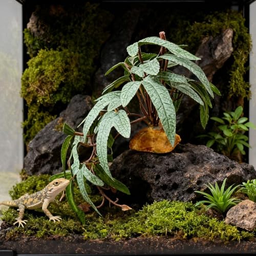 ঒ n tFCNvc   tFCNO[ xe lHA B gJQ wr JI   ϗtA