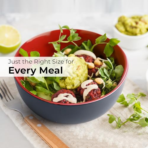 MIAMIO – Geschirrset 6 Personen/Steingut Geschirr Set 24-teilig, Tafelservice Steingut mit Tellern, Schüsseln, Tassen, und Suppentellern - Le Papillon Kollektion (Rot,24 Teile Set)