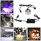 Miawtro Ultraschall Vernebler, 24v Mini Nebelmaschine Aquarium Mit 12 LED-Lichtern, Edelstahl-Zerstäuber Für Teich, Aquarium, Garten, Halloween-Deko Und Hexentopf,Türtyp Europäischer Standard