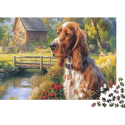 Puzzle de 1000 piezas contra el aburrimiento: juego familiar de Springer Spaniel 70 x 50 cm