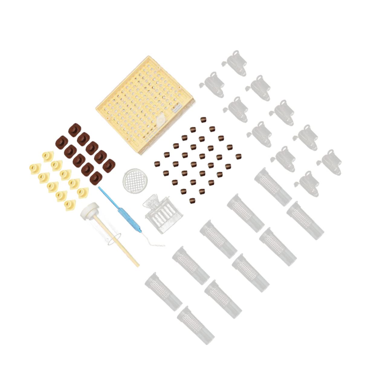 UPKOCH 1 Juego Traje Del Rey Yu Accesorios De Apicultura Crianza Inicio Incubadora De Abejas Incubadora Para Acuerdo Kit De Tazas De Celda De Abeja Kit De Apicultura