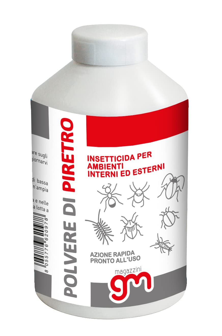 Sementi Prato Maciste Bottos 5kg - Resistente Alla Siccità Con Insetticida - Foto 2