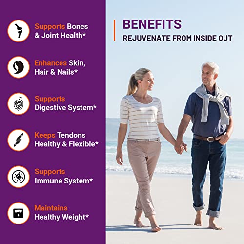 Zammex Pure Grass Fed Beef Bone Broth Protein Powder Vanilla+Multi Collagen Protein Powder Unflavored #TOP7