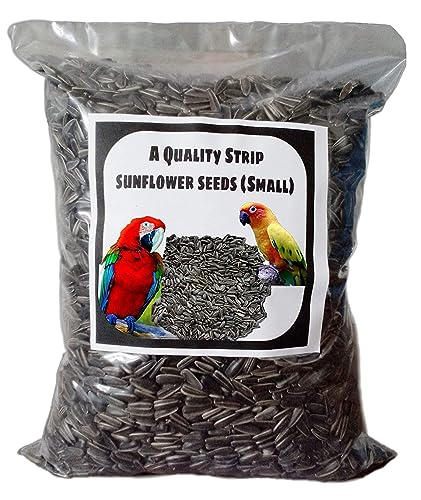 CybeXis Striped Sunflower Seeds- for Lovebirds, Cockatiels, Sun Conure-[500g]