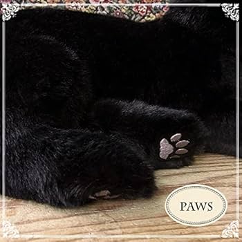 51aNbK-lODL._AC_UF350,