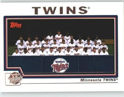 minnesota twins team store