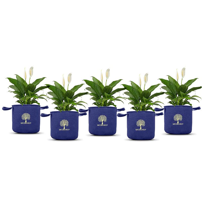 GREENSHEEP Geo Fabric Grow Bags for Terrace Gardening, Balcony, Vegetables, Plants, Fruits and Flower with Handles - Breathable and Reusable Plant Bags for Indoor (Blue) (Pack of 5) (Size-8x8) (B0BS3YX1TS) Amazon Price History, Amazon Price Tracker
