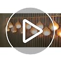 Image of METSY Stylish Metal Cutting Edge Candle Light Holder Leaf in Rectangular Shape | Metal Art | Home Decor Items (Golden Triangular) (Golden Rectangular)