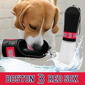 MLB Dog Water Bottle – Boston RED SOX Baseball Pet Water Bottle. Best Cat Water Bottle. Water Fountain Dispenser for Dogs & Cats, 13.5oz Cool Pet Travel Water Bottle with 2 Carbon Water Filter