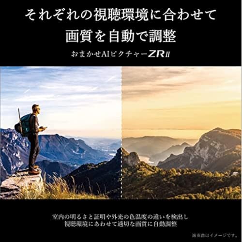 undefined 【セット買い】 レグザ 55インチ 4K液晶テレビ 55Z570L 4Kチューナー内蔵 外付けHDD 裏番組録画 スマートテレビ (2022年モデル) + IODATA SSD 外付け 1TB テレビ録画 PC対応 USB-A 小型 スティック ポータブル 全録 タイムシフトマシン【レグザ/ディーガ/Windows】USB 3.2 Gen 2 日本メーカー AVSSD-RS1/UE の商品画像 8