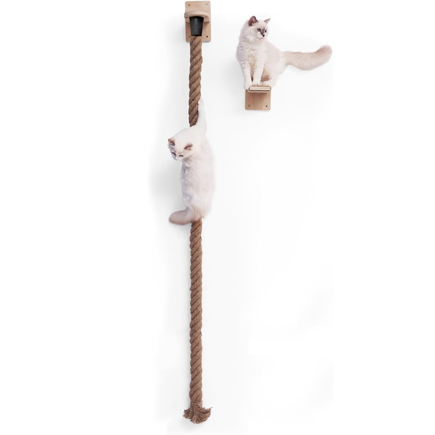 Corda da Arrampicata a Parete per Gatti, Cuscino per Saltare per Gattis, Mensole da Salto per Gatti con Ripiano di Riposo, Corda da Arrampicata per Gattis per Affilare gli Artigli, 1.7m