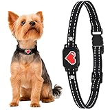 Dog Bark Control Collar for Small Dogs, 5-15 lbs (Black/Red Heart)
