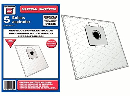 Recamania Bolsa Sintetica Aspirador AEG Bluesky Electrolux 5 Unidades 915735