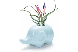 GeLive Adorable Mini Succulent Planters