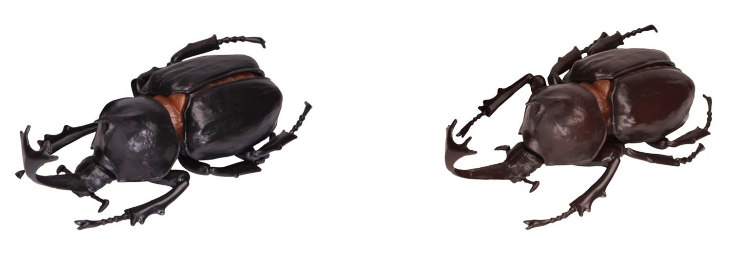 【新品、未開封】昆虫の森の大冒険　ふしぎな世界の住人たち 2025年最新】昆虫の森の大冒険の人気アイテム - メルカリ