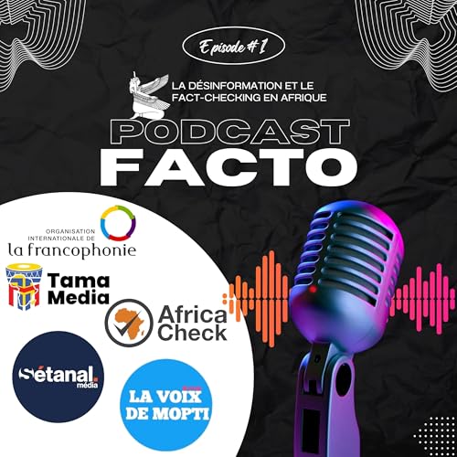 La d&eacute;sinformation et le fact-checking en Afrique, quel &eacute;tat des lieux ?