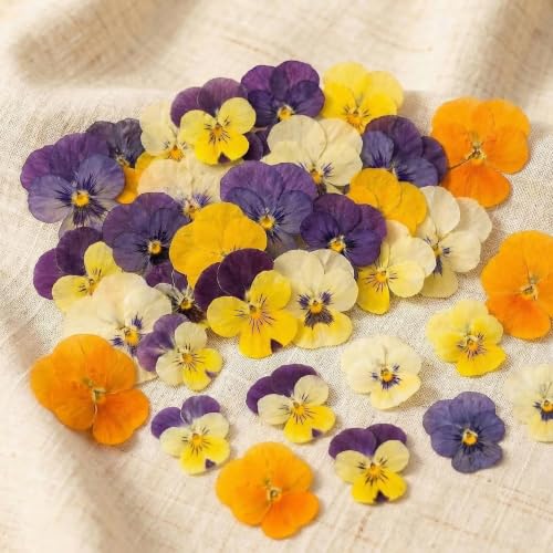 80 piezas flores secas comestibles para decoración miniatura 7