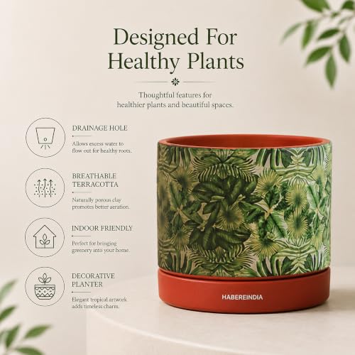 Image of Habere India-All the Cultures Fabricating India Pot for Plants | Flower Pots for Garden, Dining Table & Home Decor | Terracotta Flower Pot for Living Room Decoration (Red & Green, Dia11 x H10.5 cm)