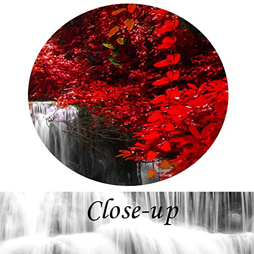 Kreative Arts Black White And Red Canvas Wall Art 3 Pieces Red Woods Waterfall Canvas Print Landscape Paintings Framed Picture For Office And Home Décor Ready To Hang 16X24Inchx3Pcs #TOP4