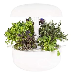 Plantui sg6 w Smart Garden, Weiß, 29 x 29 x 37 cm