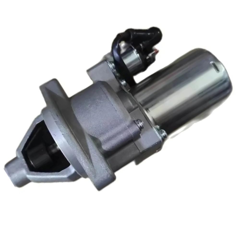 Démarreur BS 25N137 pour entretien pelouse avec moteur 797775