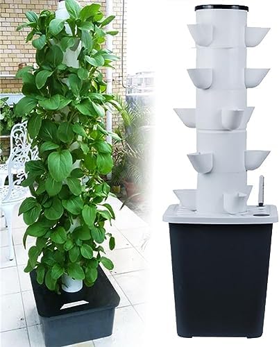 Aeroponics Growing Kit for Herbs, Fruits & Vegetables - Complete Set with Hydrating Pump, Net Pots & Timer for Efficient Indoor Gardening