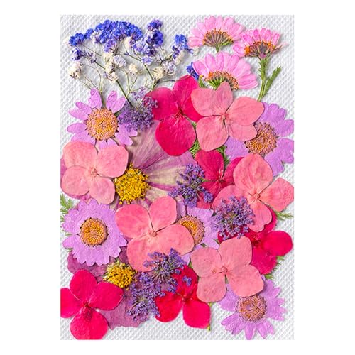 邢ԃpbN`[|pInƃMtg̉Ԃ̑̂߂̃}`J[̊Zbg