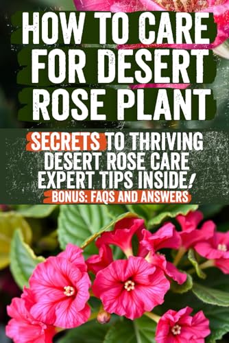 How to Care for Desert Rose Plant: Comprehensive Guide for Growing, Potting, Watering, Pruning, and Flowering Adenium Obesum – Perfect for Indoor and Outdoor Gardening Enthusiasts