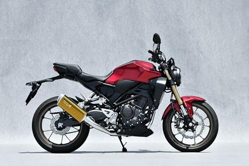 }g[VO(YAMAMOTO) 22` CB250R SPEC-A}t[ SUS TYPE-SA S[h 10271-71SAG