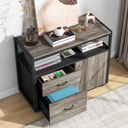 Tribesigns Lockable Gray File Cabinet with Shelves