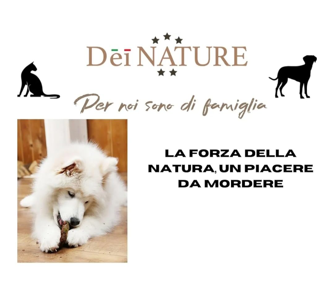 Intestino di manzo essiccato 1 kg, Strisce da 10/12 cm circa, Snack Naturale per cani,ideale per cuccioli Adatto dieta Barf