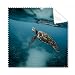 Ocean Sea Turtle Science Nature Cleaning Cloth Phone Screen Glasses Cleaner 5pcs