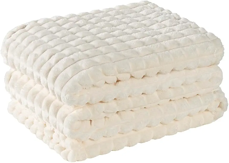 Cobertor Queen Manta Willow Ultrasoft 2,20m x 2,40m Toque Aveludado 320g Inverno (Marfim)