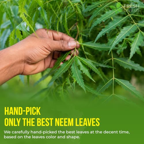 Image of FreshDrinkUS, Premium 33 Neem Leaf Tea Bags, 100% Natural and Pure from Neem Leaves. Herbal Tea. No Sugar, No Caffeine, No Gluten, Vegan.