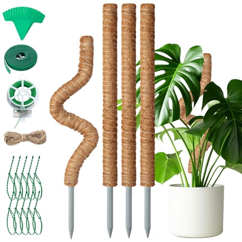 Mactoou Monstera Rankhilfe, 4 Stück 65CM Pflanzstab Kokos, Biegbar Moosstab für Monstera, Pflanzenstab mit Zubehör für Kletterpflanzen Zimmerpflanzen