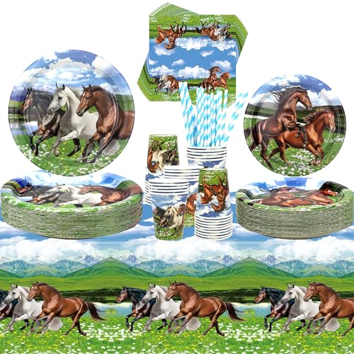 ENCETARDE Lot de 40 assiettes à dessert, gobelets, serviettes, pailles, pour courses de chevaux, cowboy, occidentaux, garçons (40)