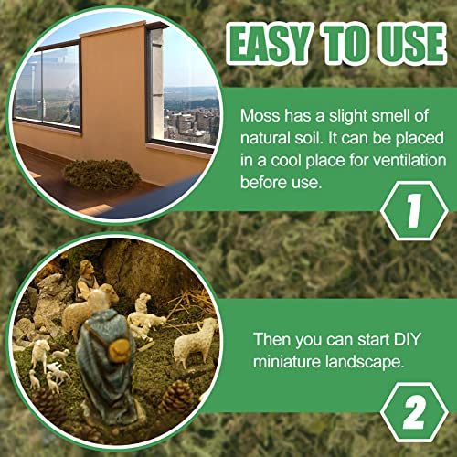 Alphatool 17Oz Fake Moss For Crafts - Artificial Moss For Potted Plants, Natrual Moss For Fake Plants Indoor Micro-Landscape Terrarium Decor, Forest Moss For Hamsters #TOP3