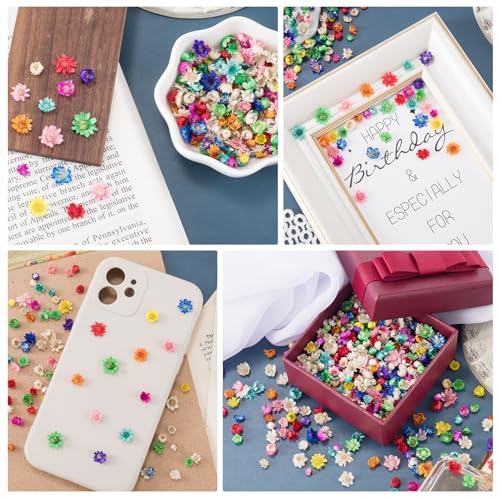 280 flores secas pequeñas para manualidades y resinados miniatura 5