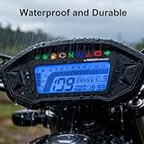 Geloo B0B1Q3XHCW lato 4