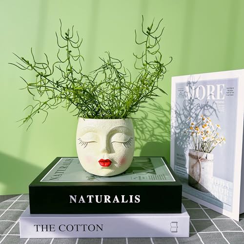 EylbKey Girl Face Flower Pot Small Lady Head Planter Funny Flower Pot for Cactus Lovely Resin Head Face Planter with Anti-Friction Pads Pale Yellow 1Pack