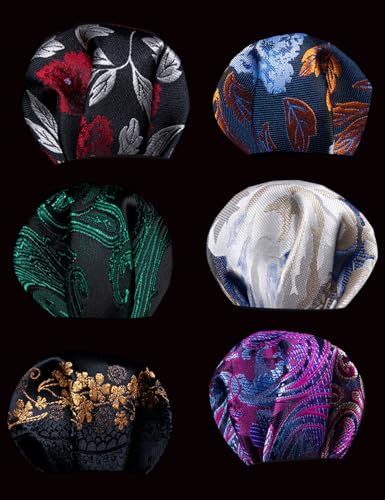 Image of Barry.Wang 6 PCS Men Ties Set Silk Business Fashion Woven Necktie Handkerchief Cufflinks Paisley Stripe Wedding Party