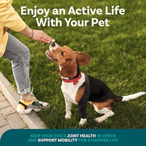 ASIAD Beinschiene für Hunde, Knieschiene für Hunde Bei Kreuzbandriss, Hüftdysplasie, Arthritis, Patellaluxation, Unterstützung Der Vorder- Und Hinterbeine, Bequem Und Verstellbar,Schwarz,L