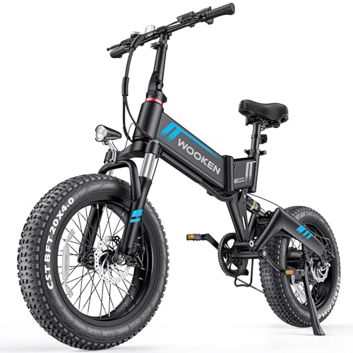Wooken Folding Electric Fat Bike
